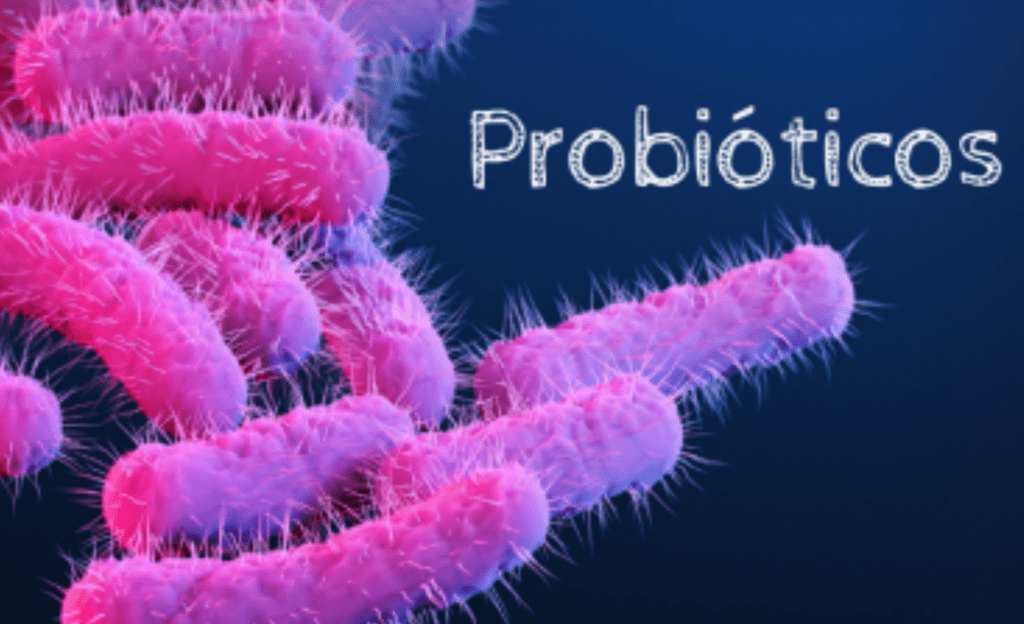 Suplemento PB8 Probiótico utilizado para saúde intestinal e microbiota